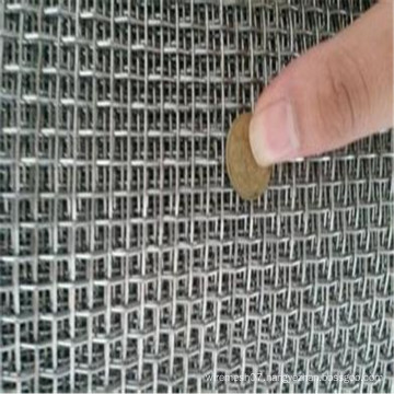 Stainless Steel Crimped Wire Mesh